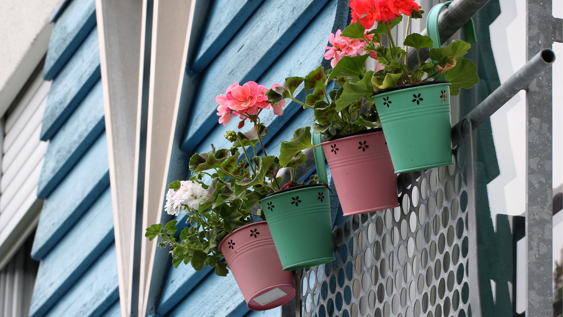 Consejos para embellecer un balcón con plantas