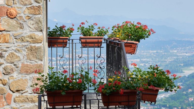 como decorar la mesa en verano con geranios