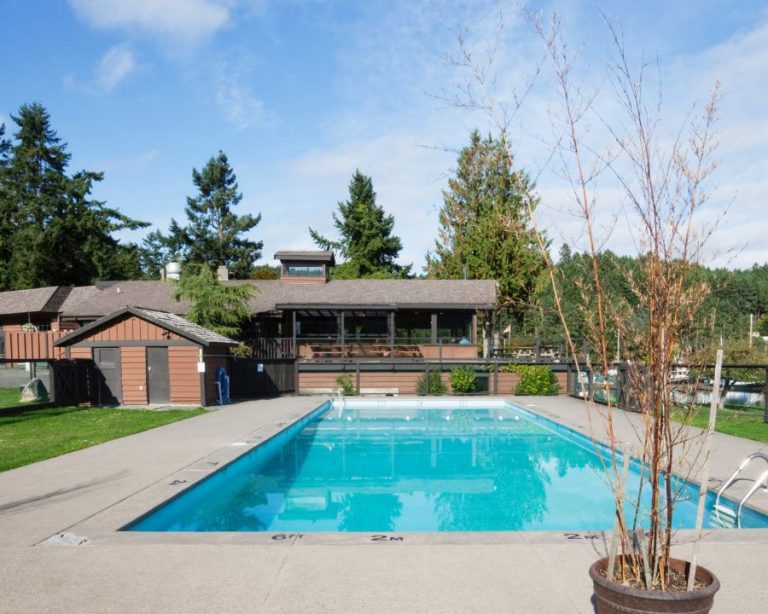 piscina exterior jardin