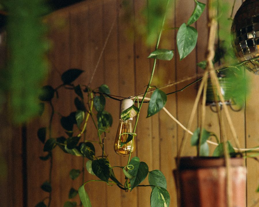 decorar casa con plantas artificiales